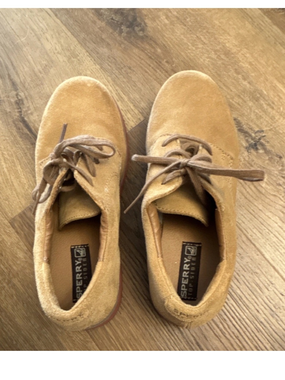 Sperry Tevin boys Tan Suede Lace-Up Shoes